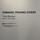 전광당 | 전광영개인전 타임 블러섬 페로탕갤러리