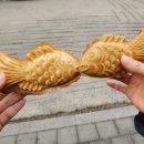 온드필라테스