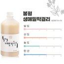 농업회사법인 서현팜 주식회사 | 봉평메밀막걸리 가격 유통기한 내돈내산 솔직후기