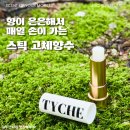 데일리 향수로 선택한 행운의향티케 스틱향수 이끼향 은은한향수 후기