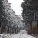 숲의동화 이미지