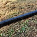 베드로 농장 이미지