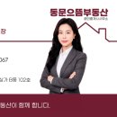 새빛공인중개사사무소 네이버블로그