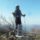 소호농장 이미지