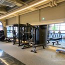 페르소나 피티샵 이미지