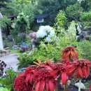 행주농장 이미지