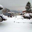 부론중학교 이미지