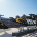 챗GPT로 시작하는 명예 기장 홍보단 이미지