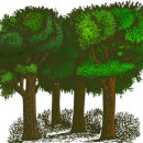 석지자원 이미지