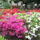 손불면사무소 이미지