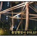 법평소교량 이미지