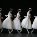 지젤무용학원 이미지