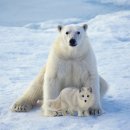 여우PC방 이미지