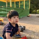 돌고래오토캠핑장2 이미지