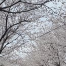 써니사이드업 ssupp 쌉