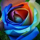 계룡중학교 이미지