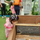 수피아어린이집 이미지