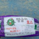 보라목장 이미지