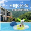 스테이수목 | 가평 애견동반 풀빌라 스테이수목 솔직 방문후기