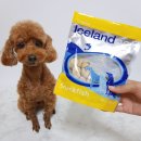 도그스낵 이미지