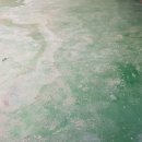 수원-0839 이미지