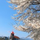 공지천 주차장 이미지