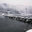 진천군 농다리 이미지