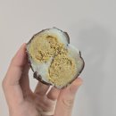 GS25(홍성이안점) | gs25신상 두바이스타일 쫀득찹쌀떡 내돈내산 후기