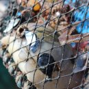 적량해비치마을 이미지