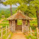 10/9(한글날)고석정꽃밭&amp;고석정,유네스코지정 한탄강 주상절리,은하수교 철원여행~~~ 이미지