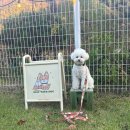 (주)위드독 이미지