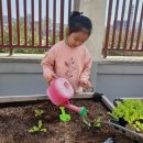 성현수정 이미지