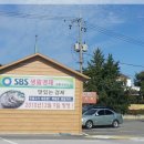 벌말매운탕 이미지