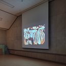 군산바다유치원 이미지