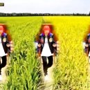나이스 엠씨