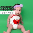 둔촌대로80번길 | 성남아기사진:: 아기 300일 사진 정말 특별한 사진남길수 있는 알맹이사진관 엎드려보세요 패키지 솔직후기