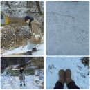 온수 농장 이미지