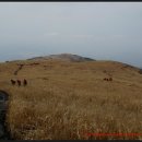 양산시(梁山市) 천성산(千聖山.922m)을 가다. 이미지