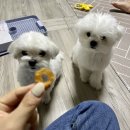 반작 작업실 이미지