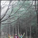 용천(안산) 이미지