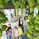 중흥2동 행정복지센터 앞 이미지