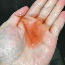 바네스헤어 | [ 다바네스 샴푸 ] 냄새덧으로 샴푸 바꾸기. 임산부 이용 가능한 샴푸 구매 후기 🫧