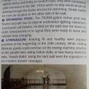 장원사슴농장 이미지