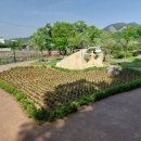 감문국이야기 이미지