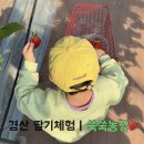 버스정류장 : 경북영광학교앞 | 대구 근교 아이랑가볼만한곳 경산 딸기체험 쑥쑥농장 방문 후기