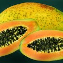 파파야 이미지