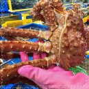 공주수산 이미지