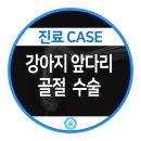 서울동물병원 앞 이미지