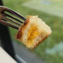 탑동랜드 | 청주 초록 뷰 카페 헤이븐 뷰맛집일세 내돈내산 솔직후기