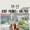 내리1길 | 부산 기장 베이커리 카페 이쁜 야외 정원과 빵지순례 가능한 빵맛집 마가진 카페